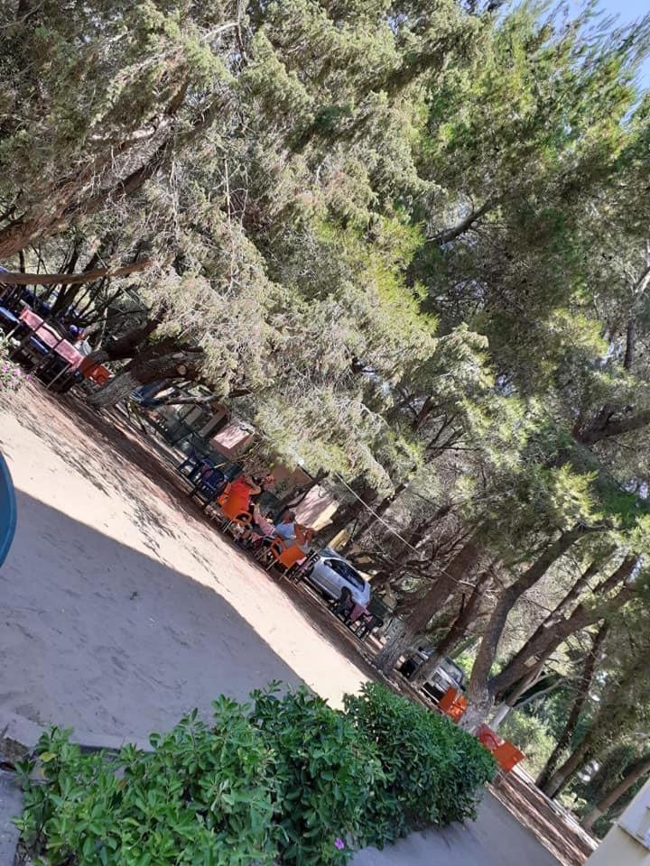 Divjaka Park 外观 照片
